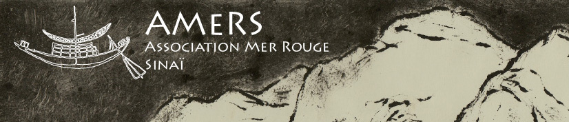 AMeRS carte
